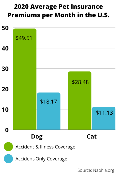 How to Choose a Pet Insurance Policy That Is Right for You